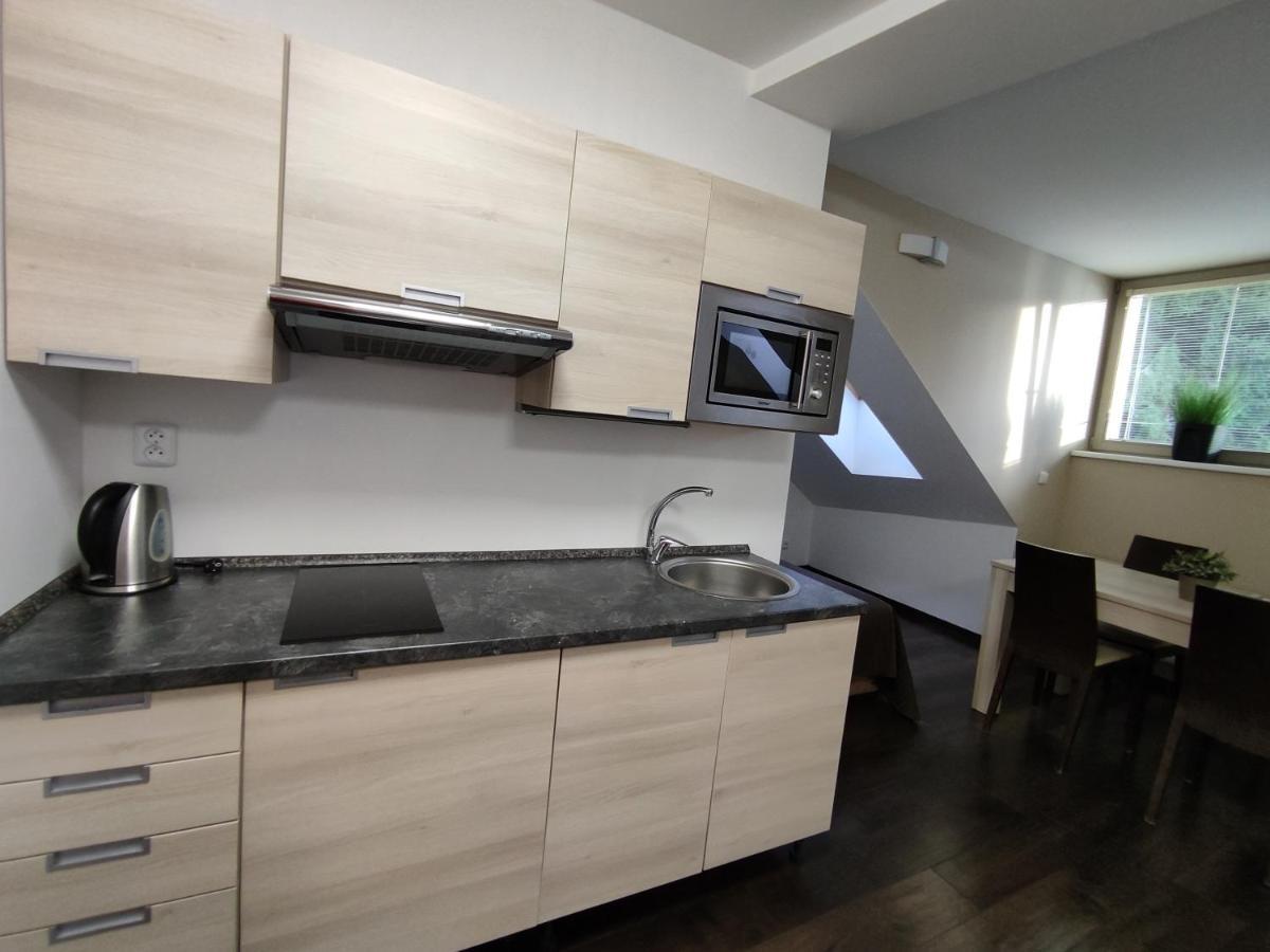 Horský Apartmán 303 v Anenském údolí s možností wellness, O2 TV, stabilní rychlá WIFI Harrachov Exterior foto