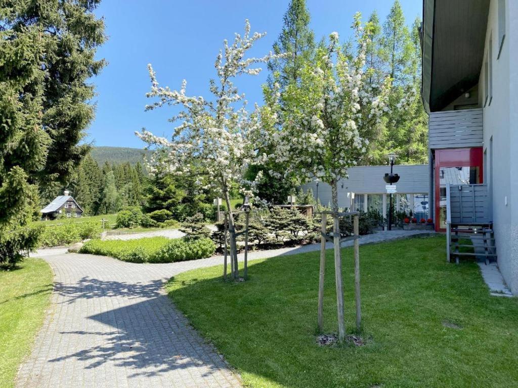 Horský Apartmán 303 v Anenském údolí s možností wellness, O2 TV, stabilní rychlá WIFI Harrachov Exterior foto
